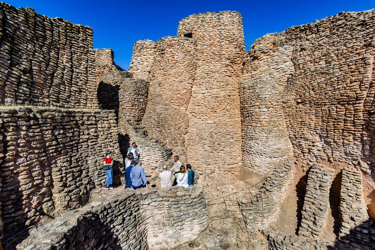 Motilla del Azuer en Daimiel, yacimiento de La Motilla del Azuer en Daimiel con la visita del alcalde de Daimiel Leopoldo Sierra  / RUEDA VILLAVERDE