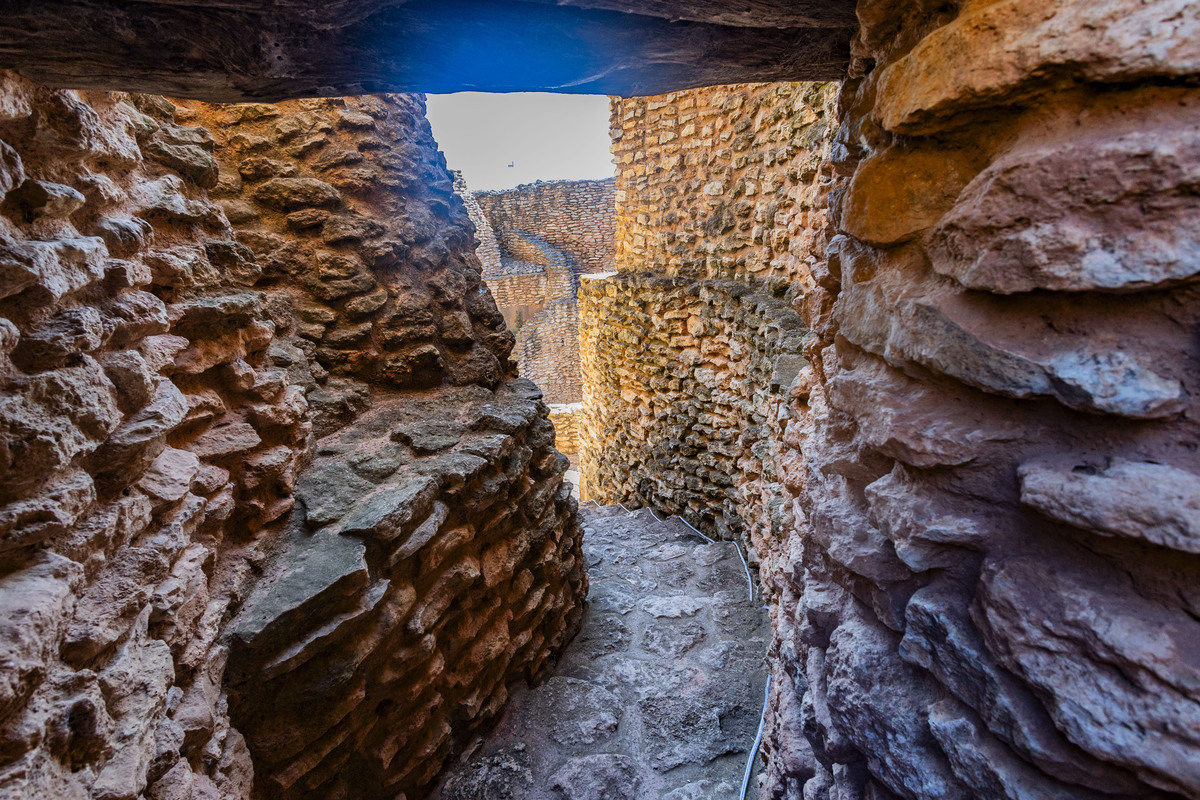 Motilla del Azuer en Daimiel, yacimiento de La Motilla del Azuer en Daimiel con la visita del alcalde de Daimiel Leopoldo Sierra  / RUEDA VILLAVERDE