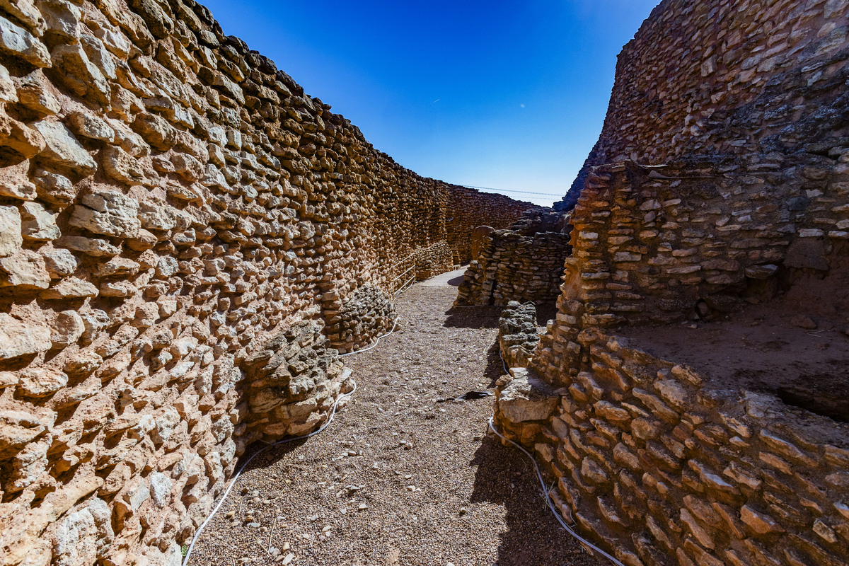 Motilla del Azuer en Daimiel, yacimiento de La Motilla del Azuer en Daimiel con la visita del alcalde de Daimiel Leopoldo Sierra  / RUEDA VILLAVERDE