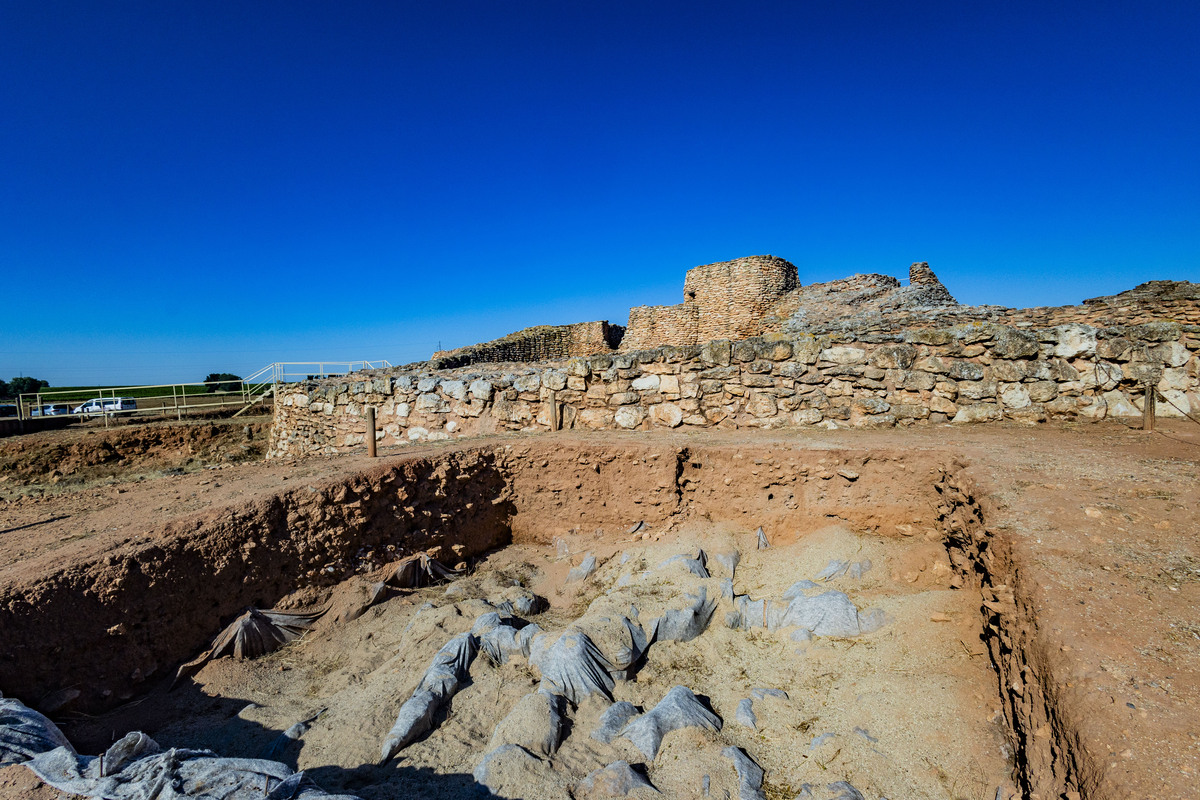 Motilla del Azuer en Daimiel, yacimiento de La Motilla del Azuer en Daimiel con la visita del alcalde de Daimiel Leopoldo Sierra  / RUEDA VILLAVERDE