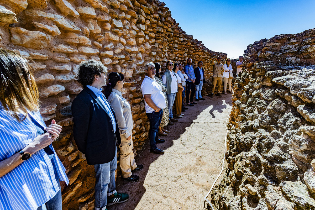 Motilla del Azuer en Daimiel, yacimiento de La Motilla del Azuer en Daimiel con la visita del alcalde de Daimiel Leopoldo Sierra  / RUEDA VILLAVERDE