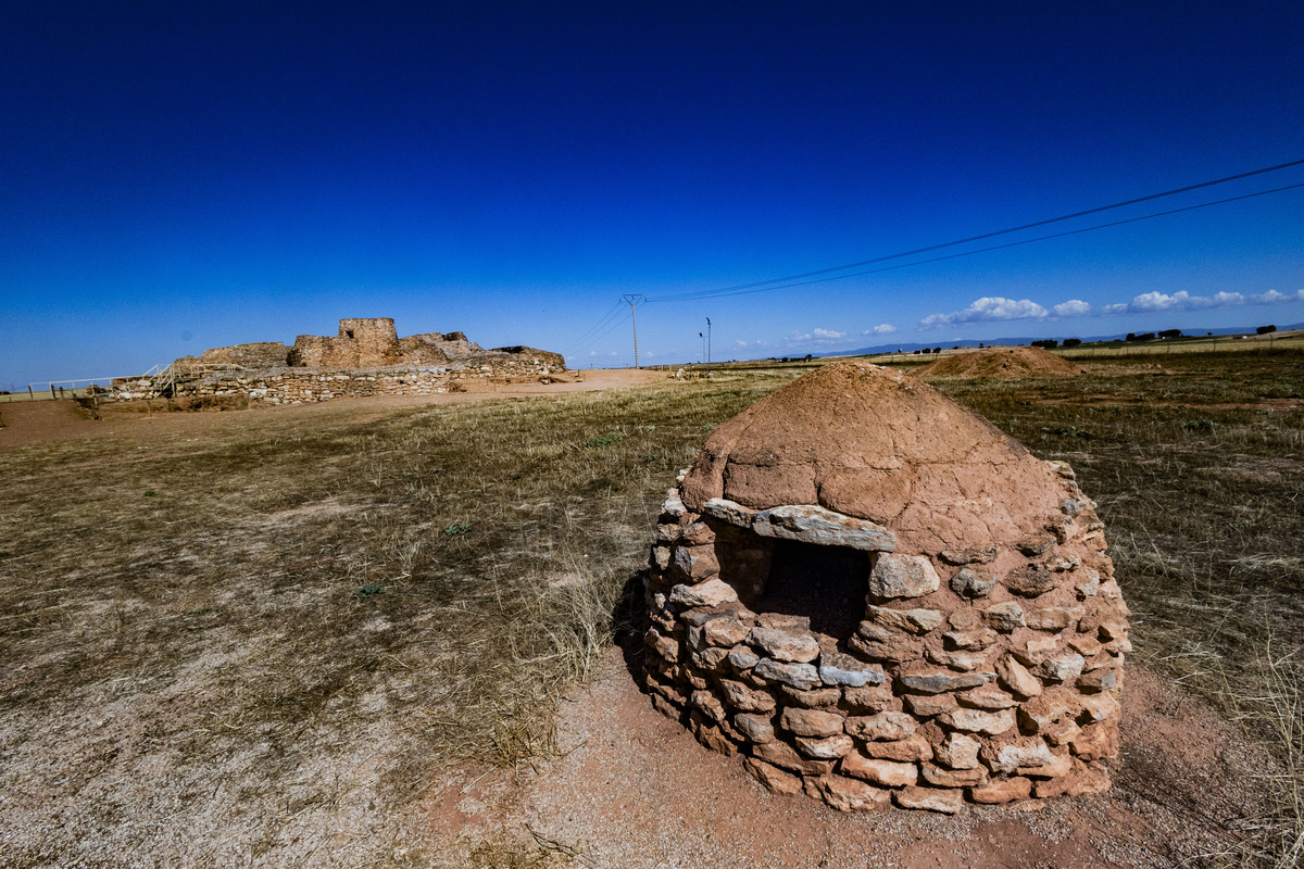 Motilla del Azuer en Daimiel, yacimiento de La Motilla del Azuer en Daimiel con la visita del alcalde de Daimiel Leopoldo Sierra  / RUEDA VILLAVERDE