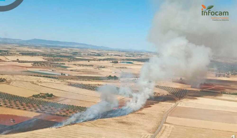 Incendio forestal de Miguelturra. 