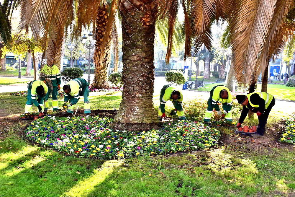 13.000 plantas dan colorido primaveral a las fiestas navideñas