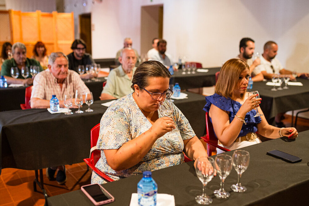 Festival de Teatro y Títeres de Torralba de Calatrava