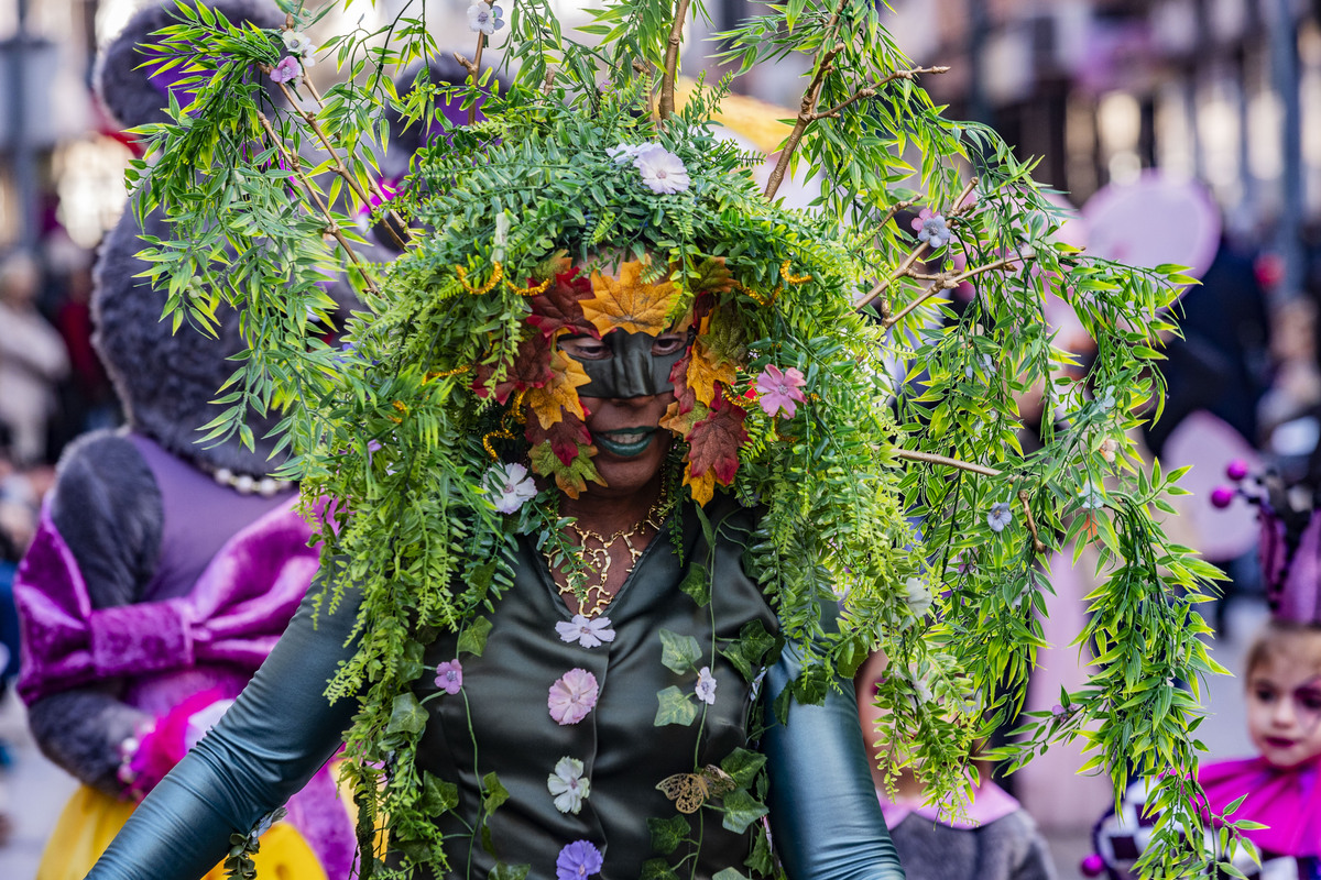 desfile de piñata, desfile de carnaval en ciudad real, carnaval, desfile de Piñata  / RUEDA VILLAVERDE