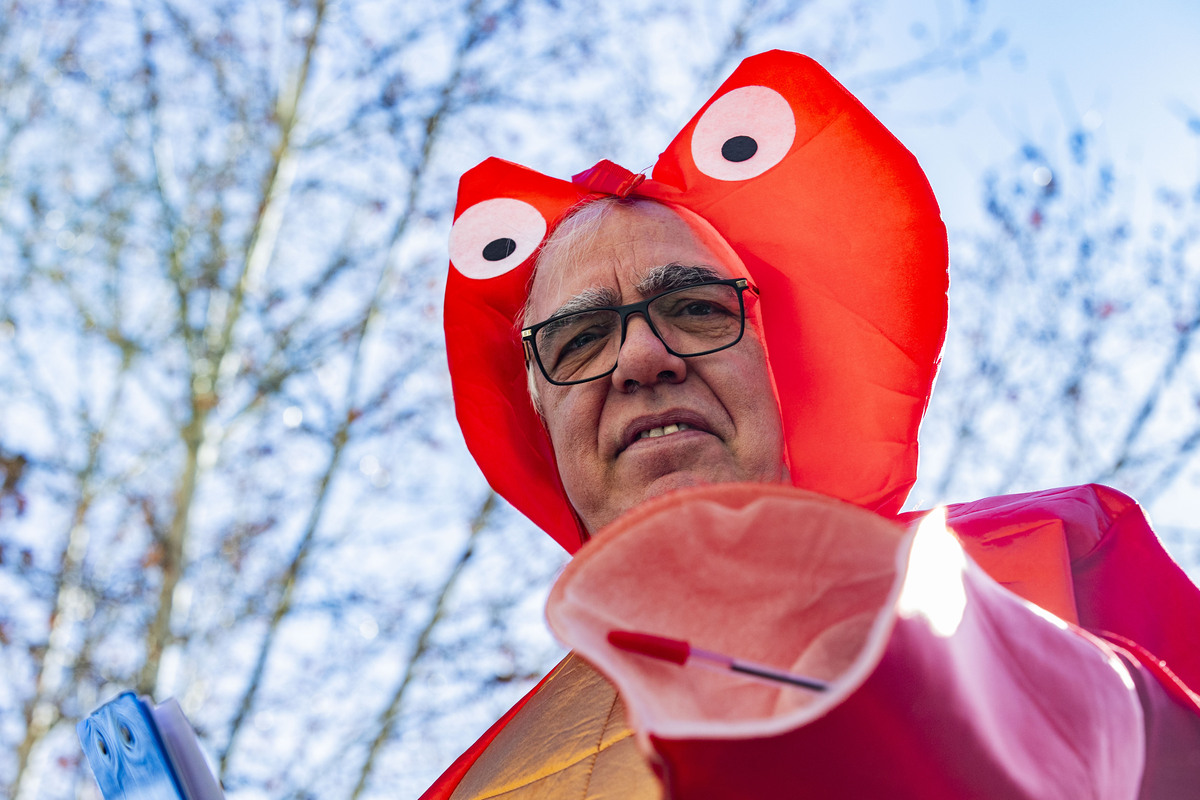 desfile de piñata, desfile de carnaval en ciudad real, carnaval, desfile de Piñata  / RUEDA VILLAVERDE