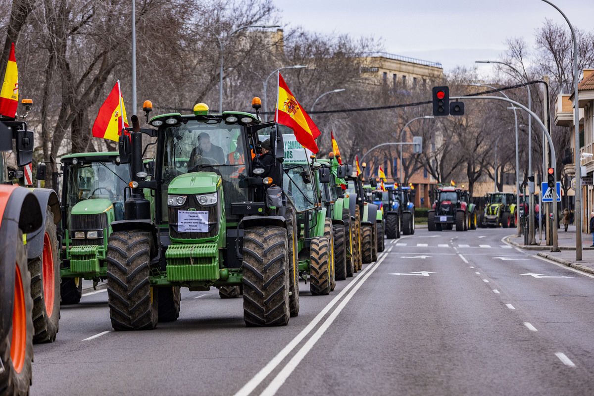 manifestación de agricultores en Ciuadad Rel, AsAJA, TRACTORADA EN CIUDAD REAL, INCIDENTES CON LA POLICÍA NACIONAL Y POLICÍA LOCAL, SUCESO,  Pedro Barato de Asaja enfrentándose a la Policía Nacional, durante la trastorada en Ciudad Real  / RUEDA VILLAVERDE