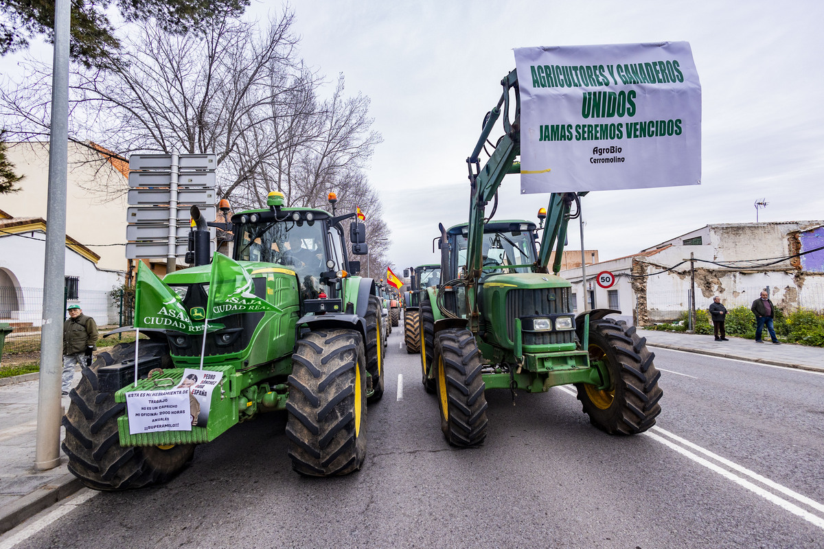 manifestación de agricultores en Ciuadad Rel, AsAJA, TRACTORADA EN CIUDAD REAL, INCIDENTES CON LA POLICÍA NACIONAL Y POLICÍA LOCAL, SUCESO,  Pedro Barato de Asaja enfrentándose a la Policía Nacional, durante la trastorada en Ciudad Real  / RUEDA VILLAVERDE