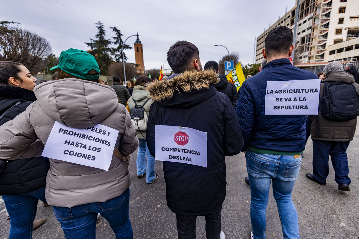 manifestación de agricultores en Ciuadad Rel, AsAJA, TRACTORADA EN CIUDAD REAL, INCIDENTES CON LA POLICÍA NACIONAL Y POLICÍA LOCAL, SUCESO,  Pedro Barato de Asaja enfrentándose a la Policía Nacional, durante la trastorada en Ciudad Real  / RUEDA VILLAVERDE