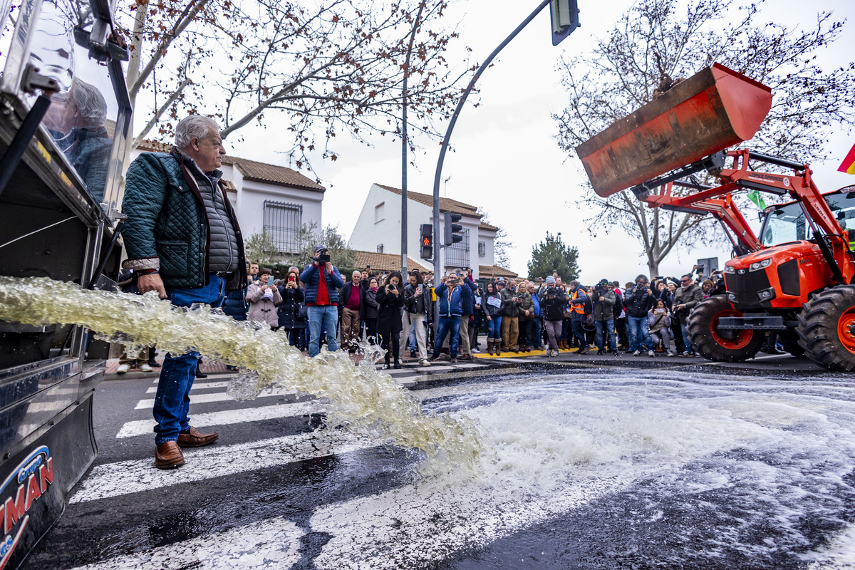 manifestación de agricultores en Ciuadad Rel, AsAJA, TRACTORADA EN CIUDAD REAL, INCIDENTES CON LA POLICÍA NACIONAL Y POLICÍA LOCAL, SUCESO,  Pedro Barato de Asaja enfrentándose a la Policía Nacional, durante la trastorada en Ciudad Real  / RUEDA VILLAVERDE