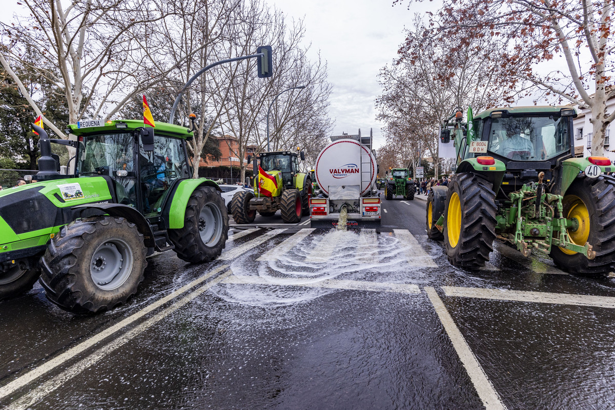 manifestación de agricultores en Ciuadad Rel, AsAJA, TRACTORADA EN CIUDAD REAL, INCIDENTES CON LA POLICÍA NACIONAL Y POLICÍA LOCAL, SUCESO,  Pedro Barato de Asaja enfrentándose a la Policía Nacional, durante la trastorada en Ciudad Real  / RUEDA VILLAVERDE