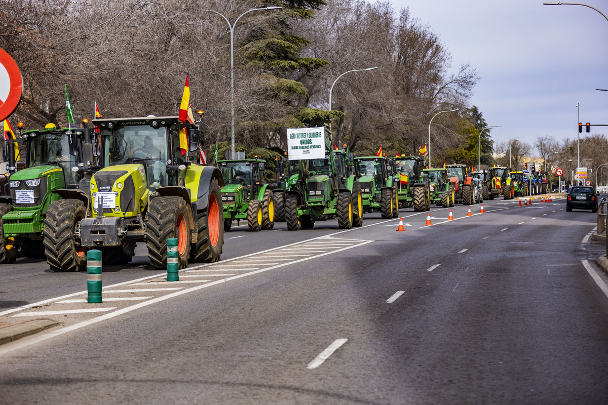 manifestación de agricultores en Ciuadad Rel, AsAJA, TRACTORADA EN CIUDAD REAL, INCIDENTES CON LA POLICÍA NACIONAL Y POLICÍA LOCAL, SUCESO,  Pedro Barato de Asaja enfrentándose a la Policía Nacional, durante la trastorada en Ciudad Real  / RUEDA VILLAVERDE