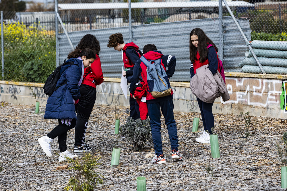 El bosque Miyawaki muestra su potencial a los estudiantes