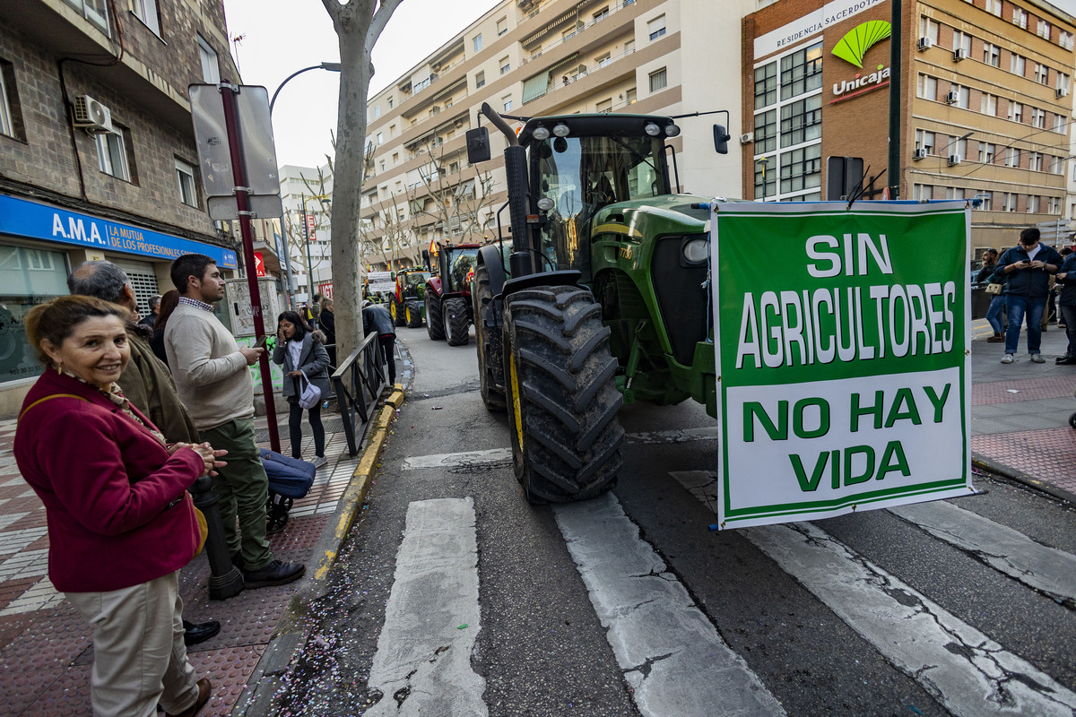 TRACTORADA EL DOMINGO DE PIÑATA, TRACTORES, POTESTA DE LOS AGRICULTORES CON SUS TRACTORES EN EL DESFILE DE CARNAVAL DE CIUDAD REAL  / RUEDA VILLAVERDE