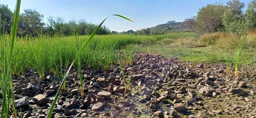 Fúnez y Belda piden un plan hídrico para el río Bullaque