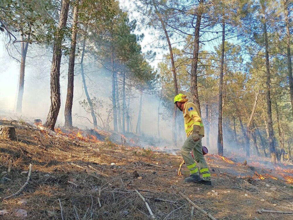 El invierno lluvioso avanza una campaña de incendios que se pr