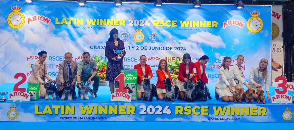 ¿Quieres ver cuáles son los ganadores del encuentro canino?