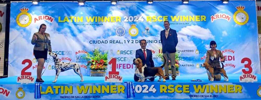 ¿Quieres ver cuáles son los ganadores del encuentro canino?