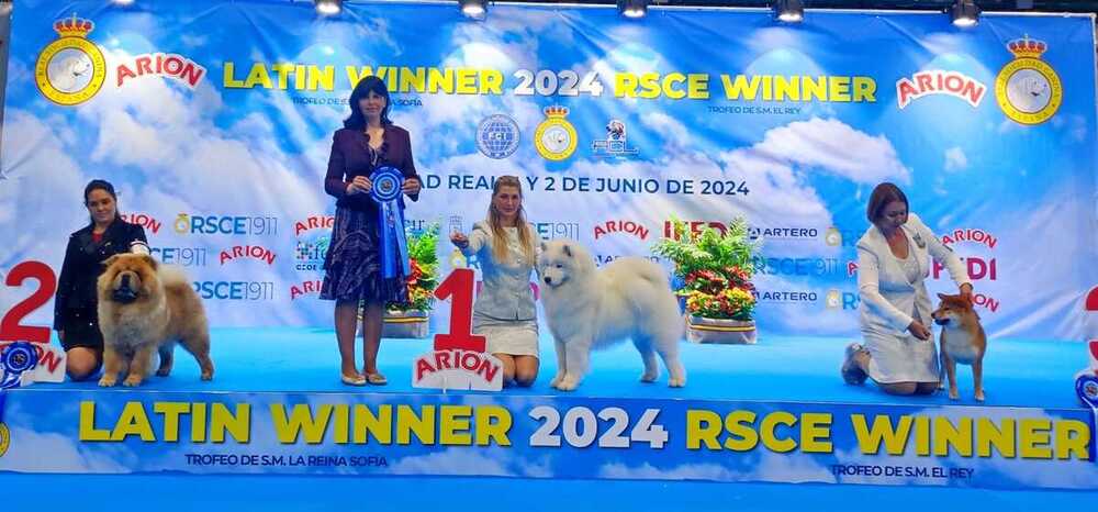 ¿Quieres ver cuáles son los ganadores del encuentro canino?