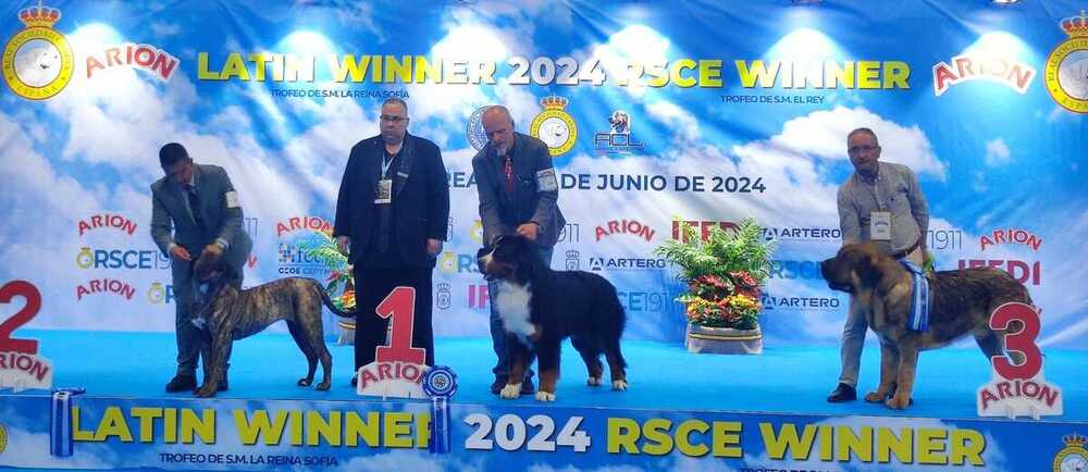 ¿Quieres ver cuáles son los ganadores del encuentro canino?