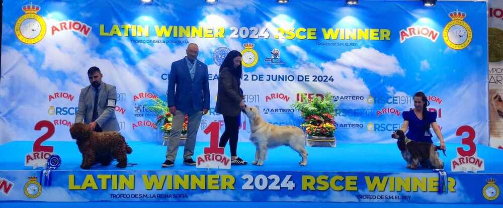 ¿Quieres ver cuáles son los ganadores del encuentro canino?