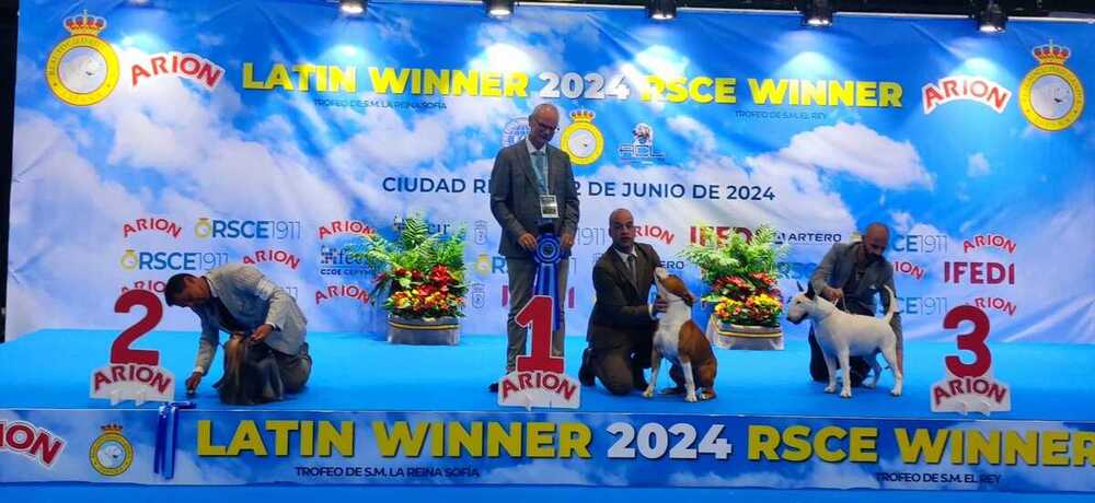 ¿Quieres ver cuáles son los ganadores del encuentro canino?