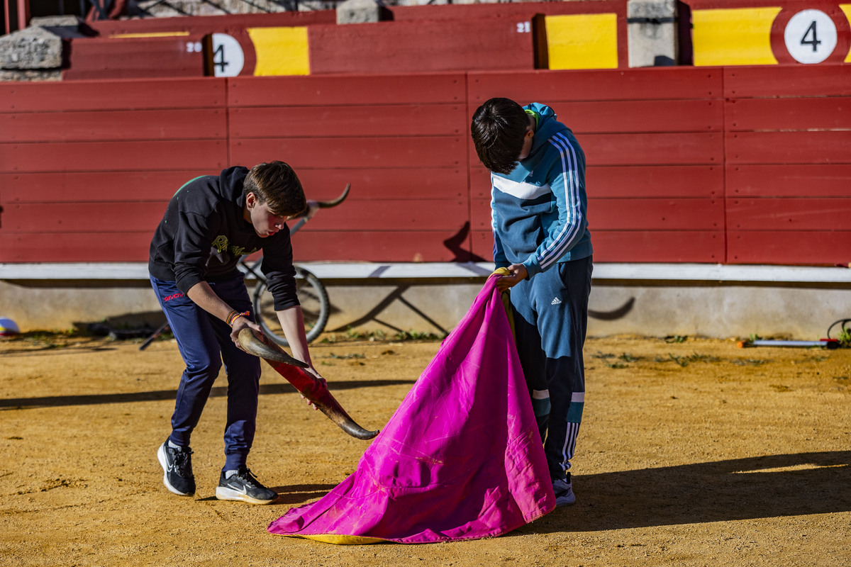 INICIO DE LAS CLASE EN LA PLAZA DE TOROS DE LA ESCUELA DE TAUROMÁQUIA, INICIO DE LAS CLASES TAURINAS DE LA ESCUELA DE TAUROMAQUIA, TOROS  / RUEDA VILLAVERDE