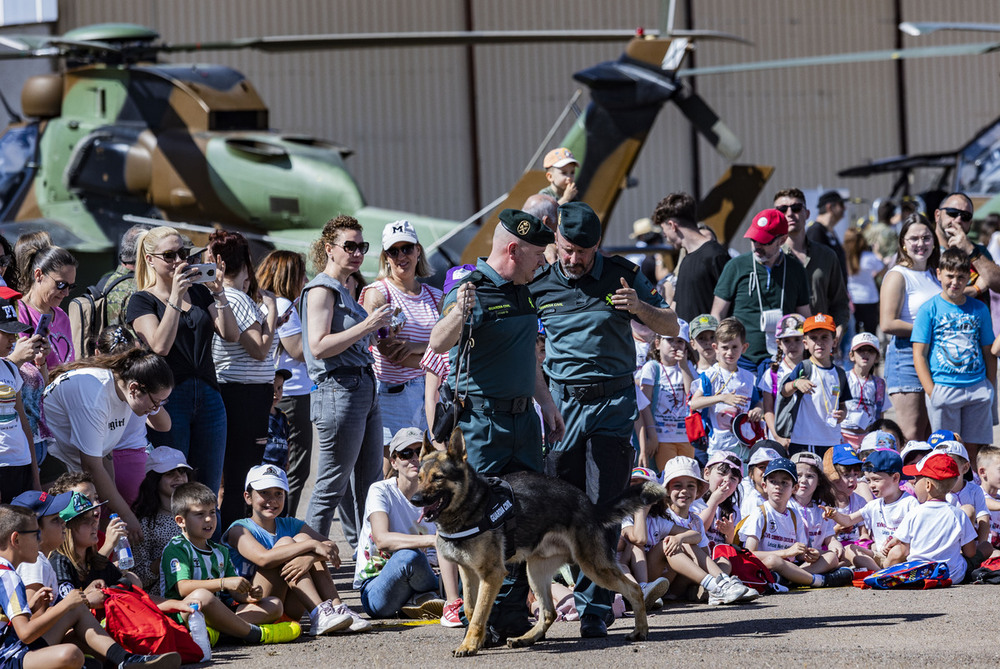 Exhibición del equipo cinológico de la Guardia Civil.