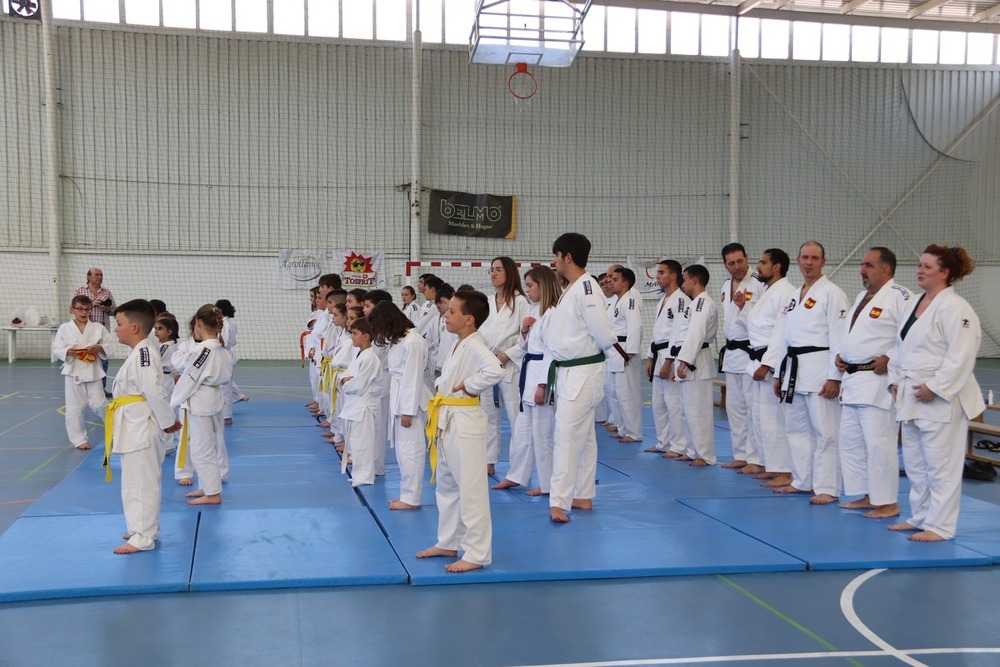 El Club de Judo de Manzanares despide la temporada