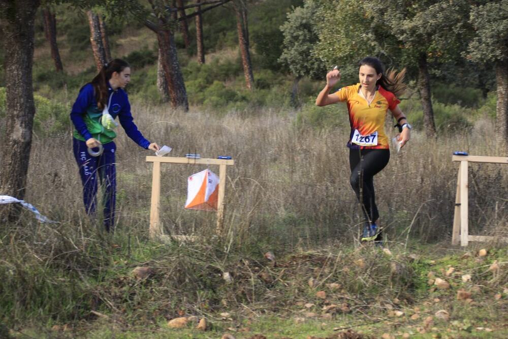 Un Campeonato de España de Orientación de sobresaliente