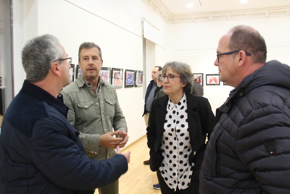 Dos nuevas exposiciones llegan a la Casa de Cultura de Alcázar