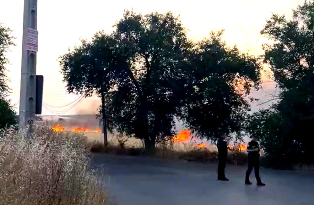 Un incendio de pastos obliga a actuar a los bomberos