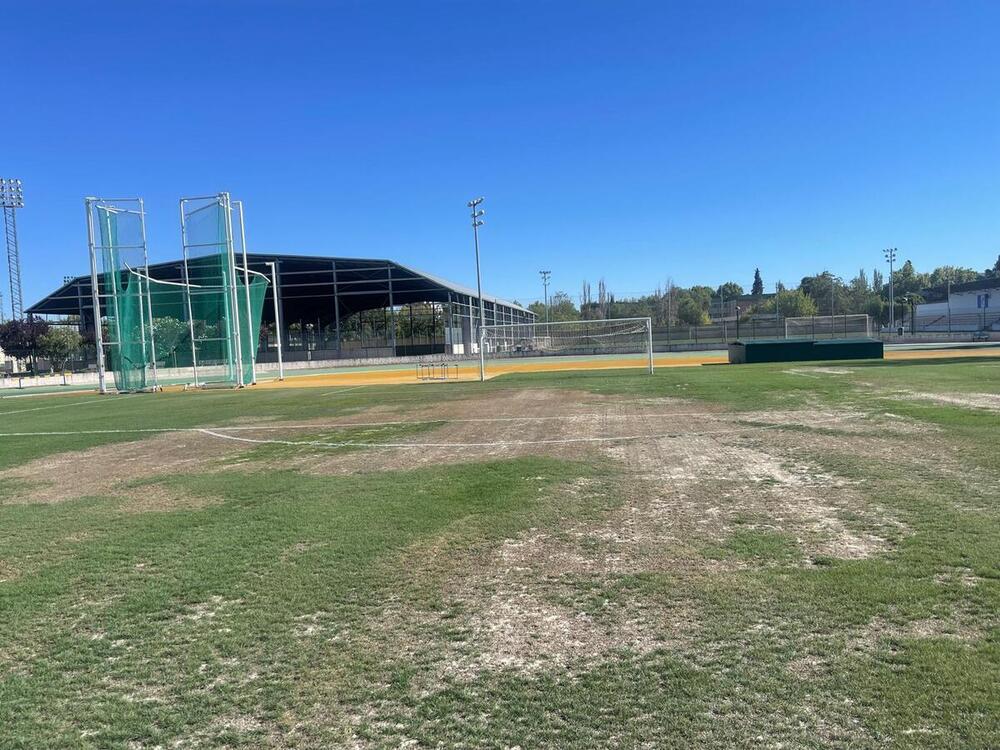 Aspecto que presenta esta semana el césped del Polideportivo Juan Carlos I.