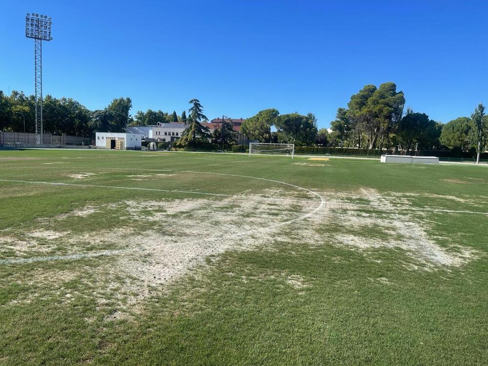 Aspecto que presenta esta semana el césped del Polideportivo Juan Carlos I.