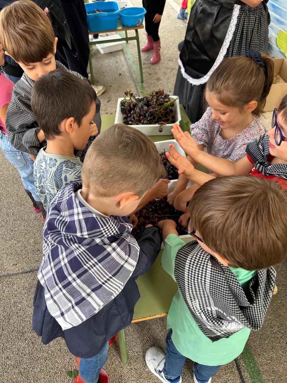 El CEIP Félix Grande hace su propia vendimia 