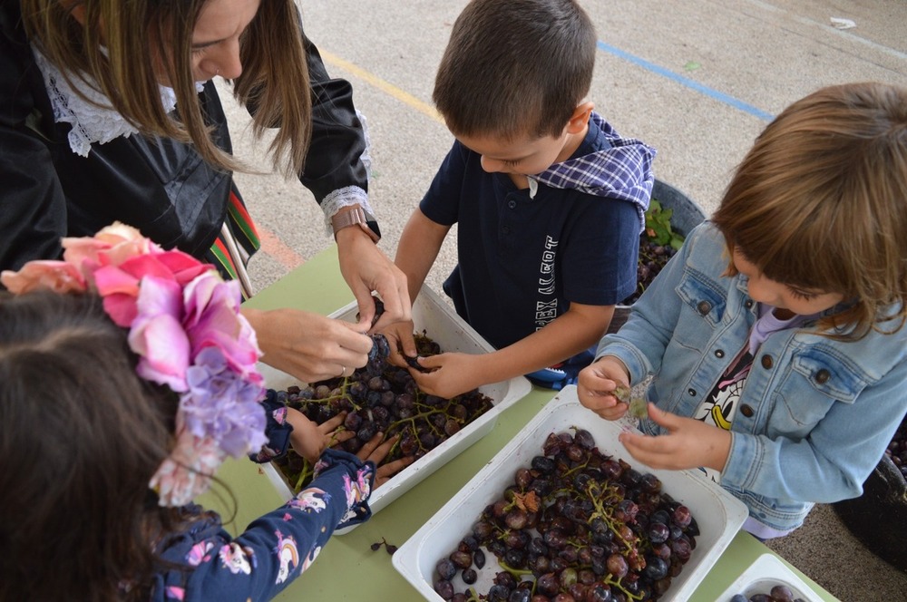 El CEIP Félix Grande hace su propia vendimia 