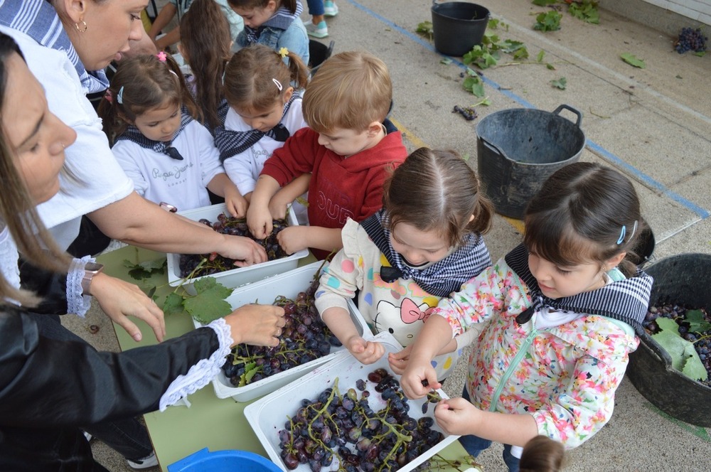 El CEIP Félix Grande hace su propia vendimia 