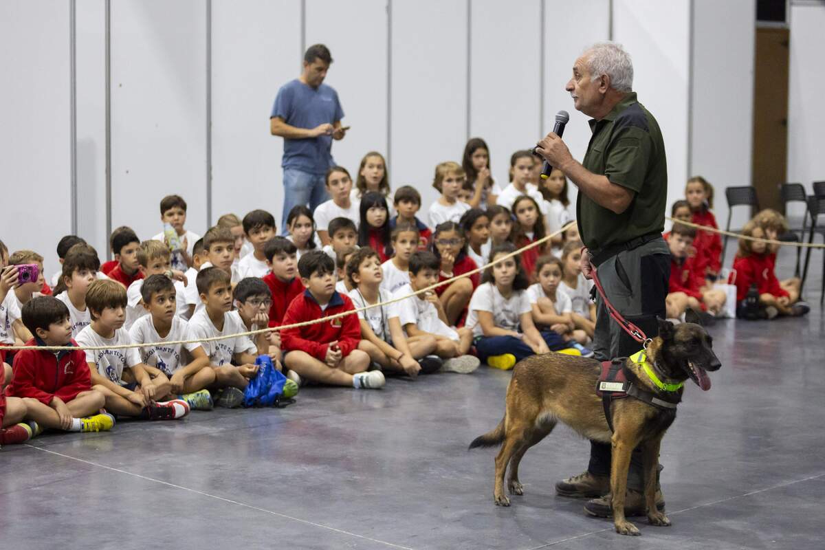 Fercatur  / TOMÁS FDEZ. DE MOYA