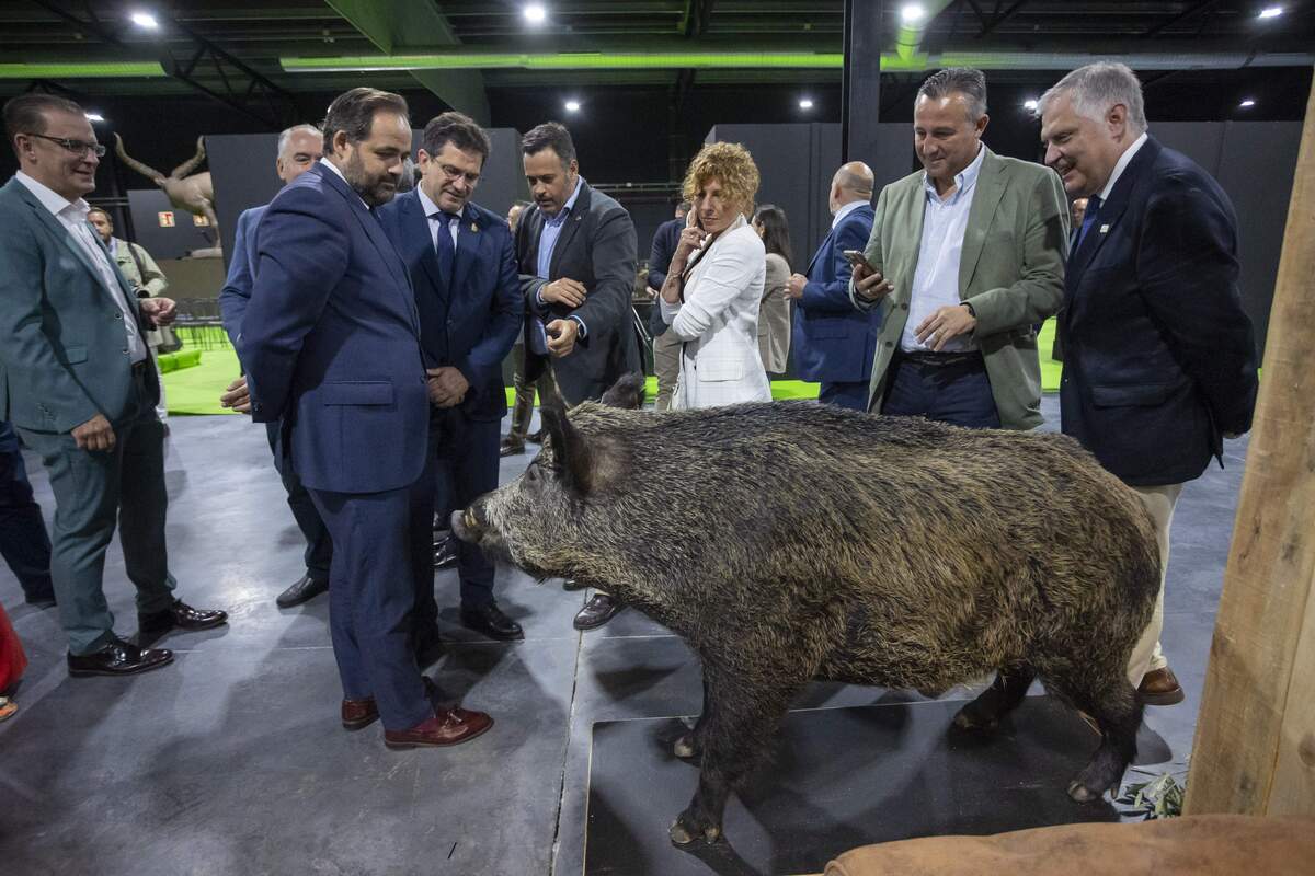 Fercatur  / TOMÁS FDEZ. DE MOYA