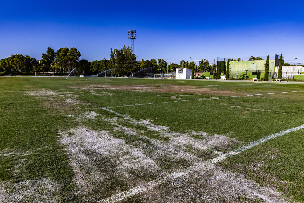 Estado del césped del Polideportivo Juan Carlos I este martes 10 de septiembre.