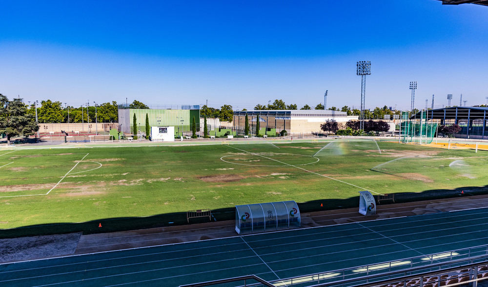 Estado del césped del Polideportivo Juan Carlos I este martes 10 de septiembre.