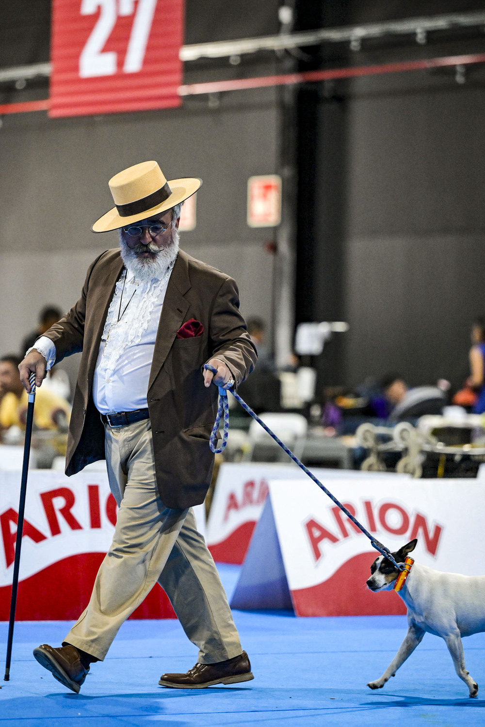 ¿Quieres ver cuáles son los ganadores del encuentro canino?