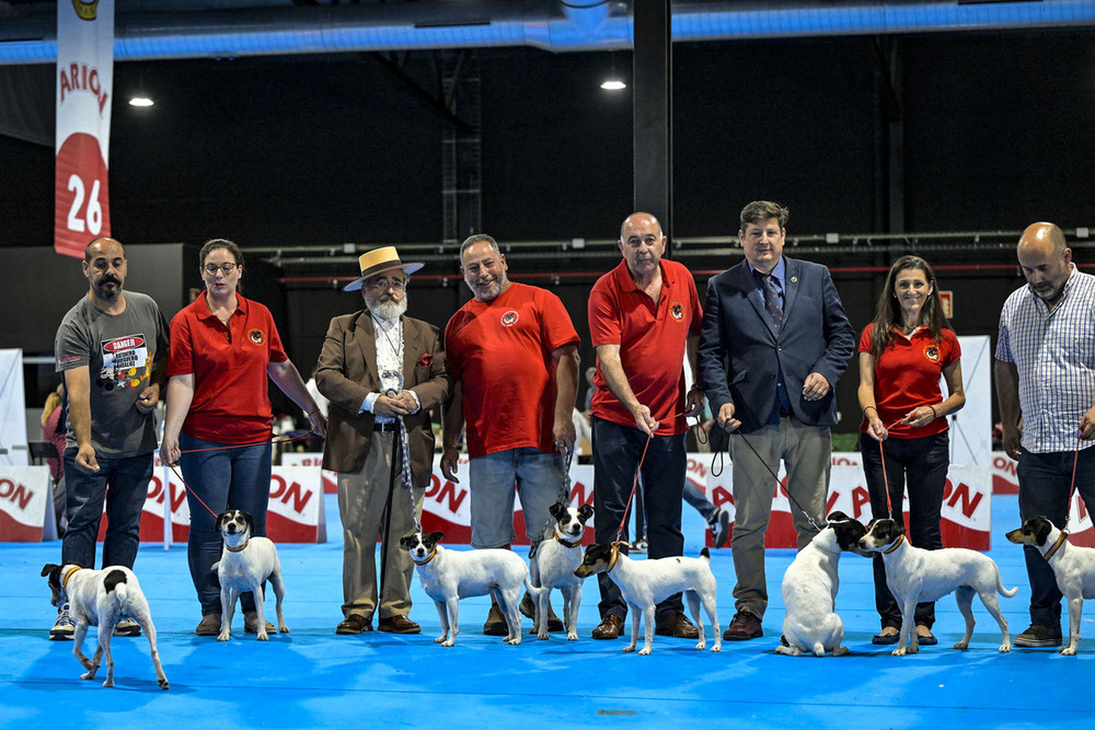 ¿Quieres ver cuáles son los ganadores del encuentro canino?