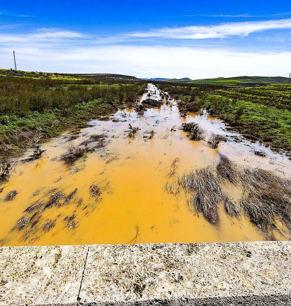 Campo de Cva. estudia abastecerse de nuevo del Jabalón 