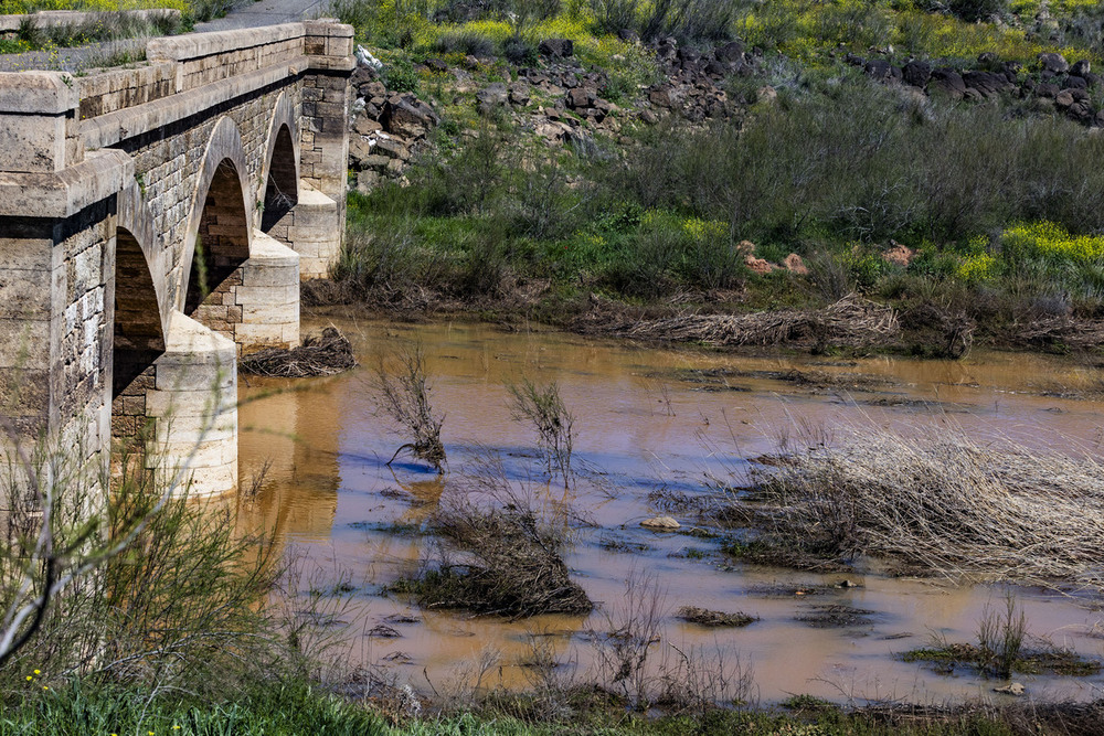 Campo de Cva. estudia abastecerse de nuevo del Jabalón