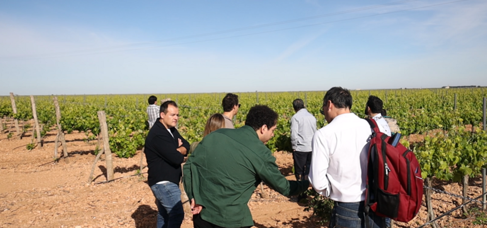 Importadores americanos conocen a fondo DO La Mancha 