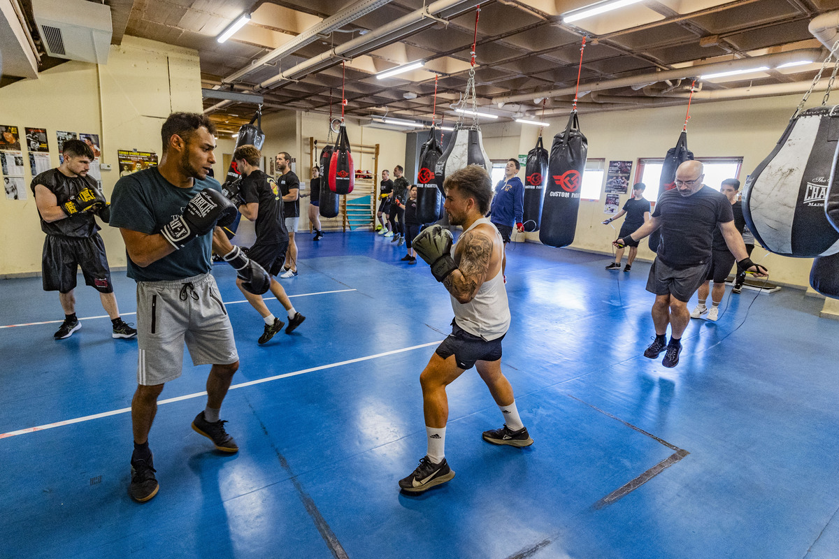 Escuela de Boxeo Rayfer de ciudad real, gente praacticando boxeo  / RUEDA VILLAVERDE