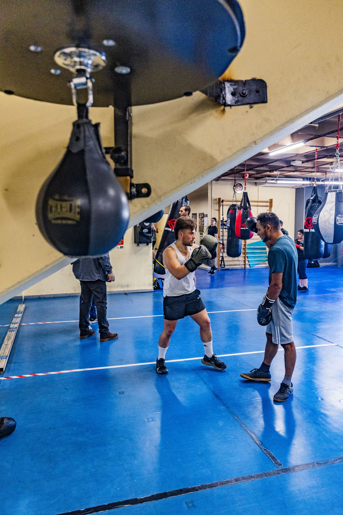 Escuela de Boxeo Rayfer de ciudad real, gente praacticando boxeo  / RUEDA VILLAVERDE