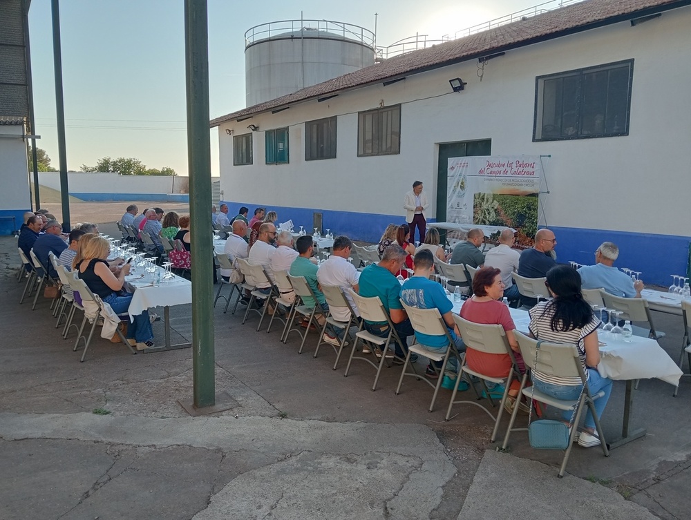 Vinos del Campo de Calatrava: cultura y desarrollo